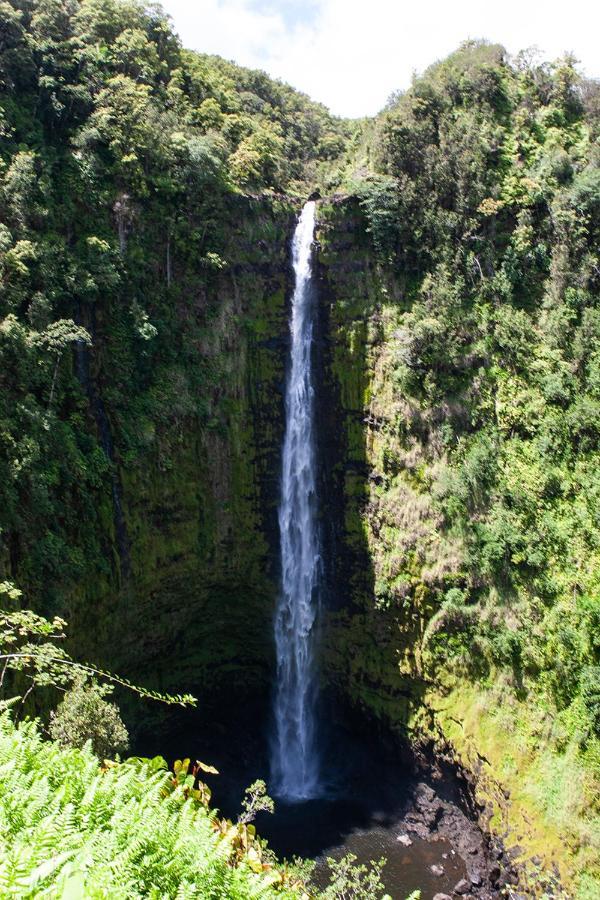 Arnott'S Lodge & Hiking Adventures Hilo Exteriör bild